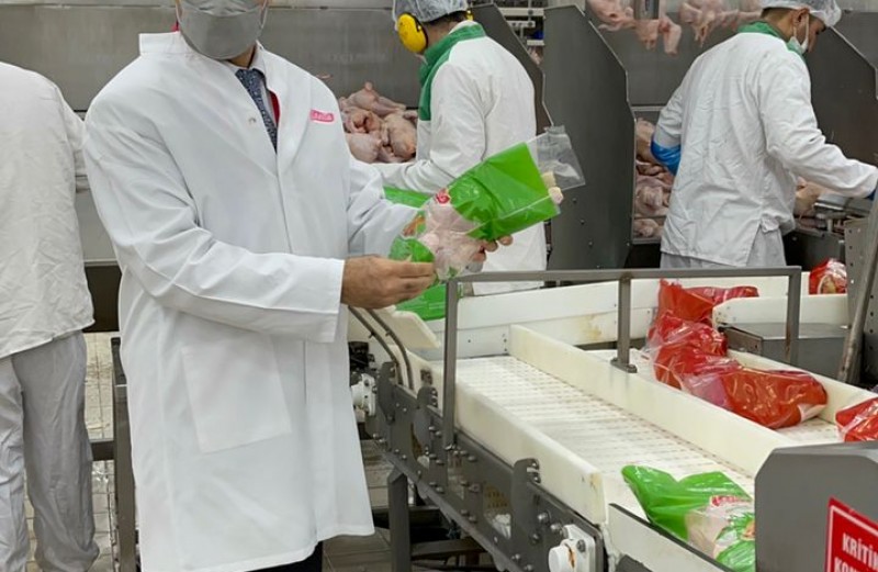 واردات گوشت مرغ منجمد از کشور ترکیه