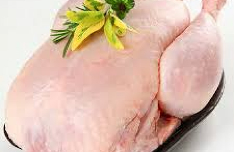 واردات 500 تن مرغ از کشور ترکیه 